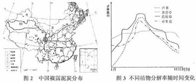 服務(wù)外包的趨勢與效益分析